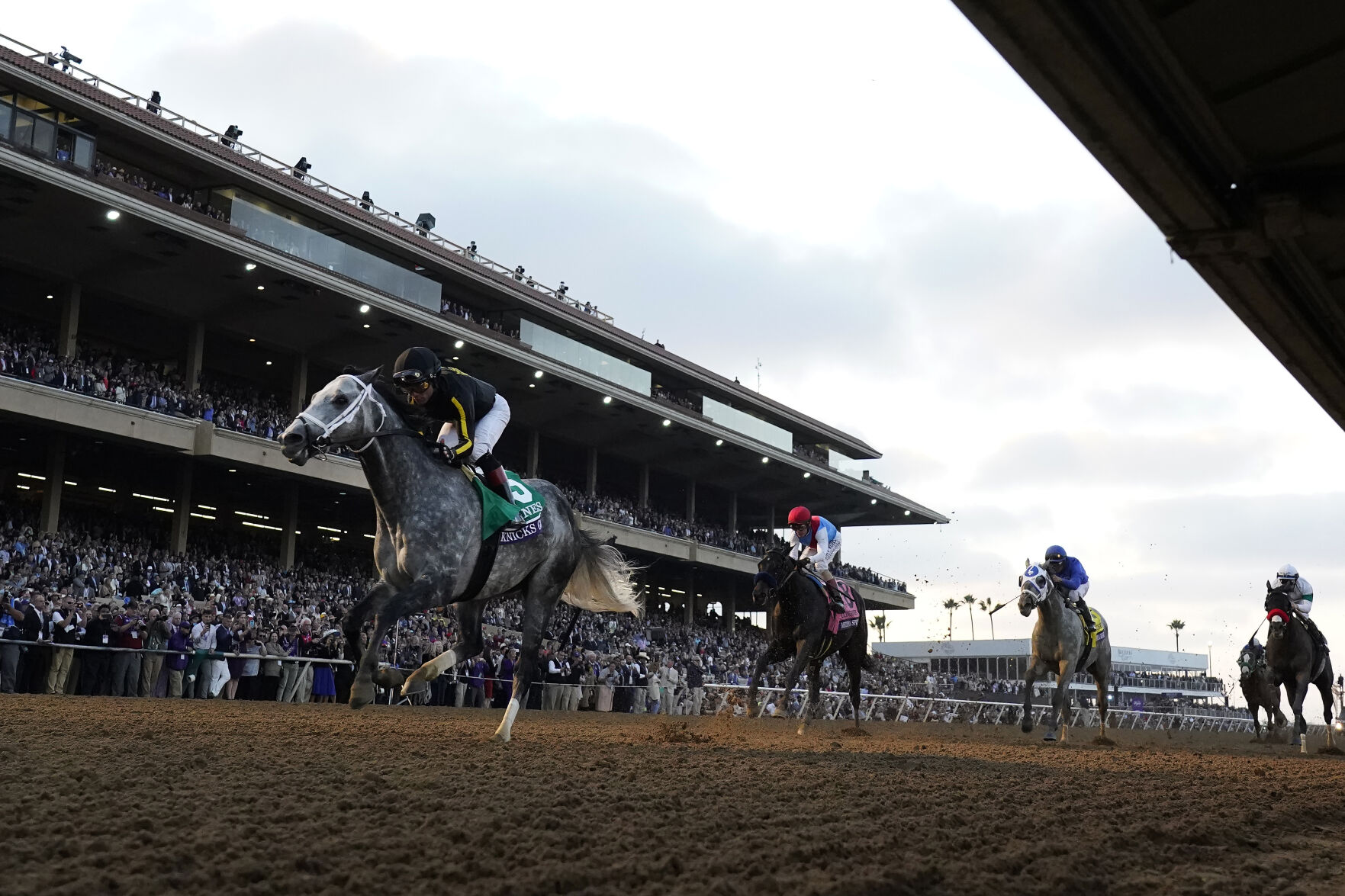 APTOPIX Breeders Cup Horse Racing